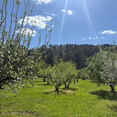 Apartmán Mas Du Pommier Golden *